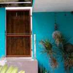 Brown wood door against a green painted wall