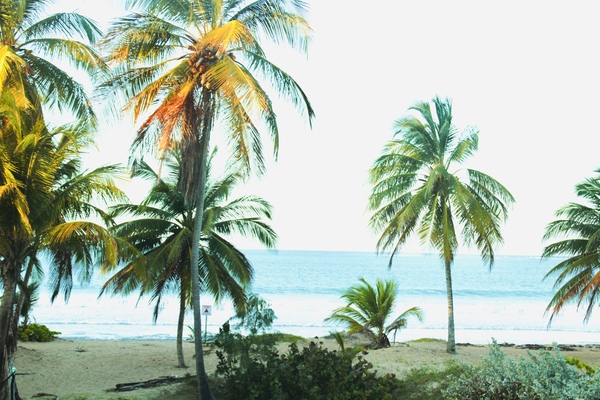 N1 Picuas - Beachfront and pool house Photo 5